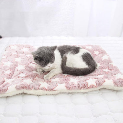 a cat siting on soft fleece pet blanket.