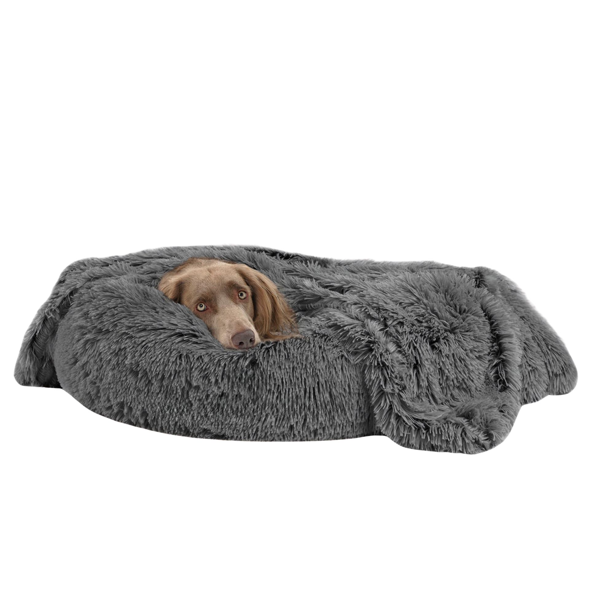 Dog lying on a fluffy gray pet bed against a white background