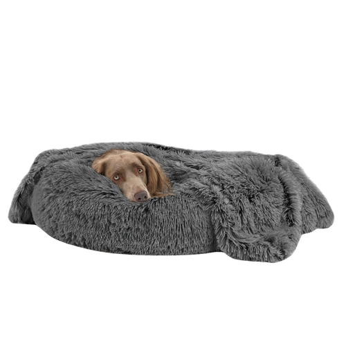 Dog lying on a fluffy gray pet bed against a white background