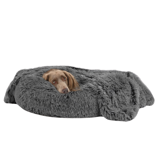 Dog lying on a fluffy gray pet bed against a white background