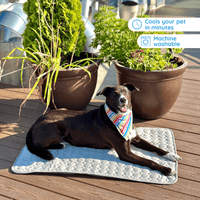 Self-Cooling Pet Mat - No Water, No Electricity