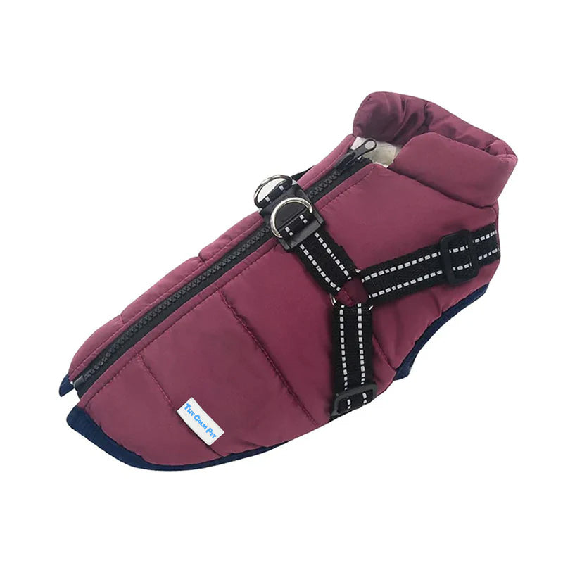 DogVest Purple