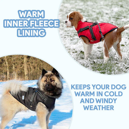 Dogvesttopsliderenglish1