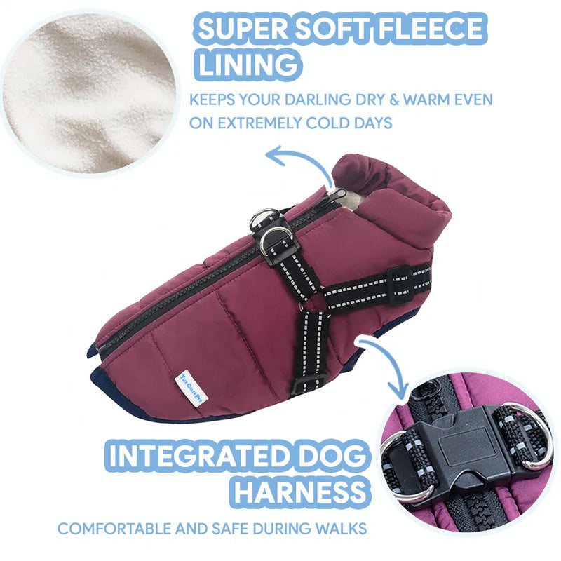 Dogvesttopsliderenglish2