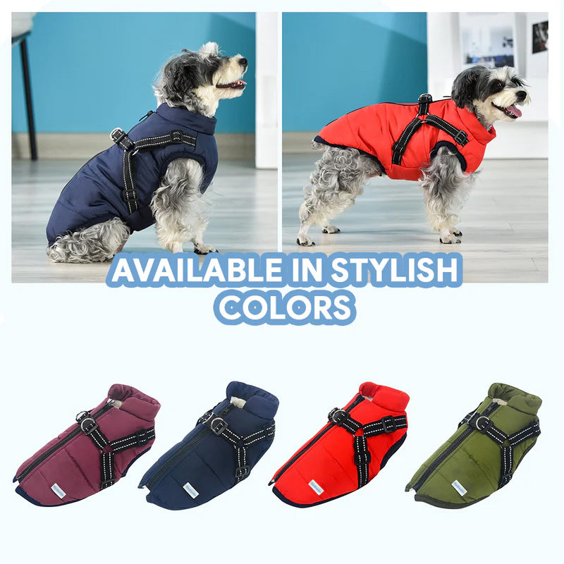 Dogvesttopsliderenglish6