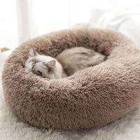 Taupe Brown